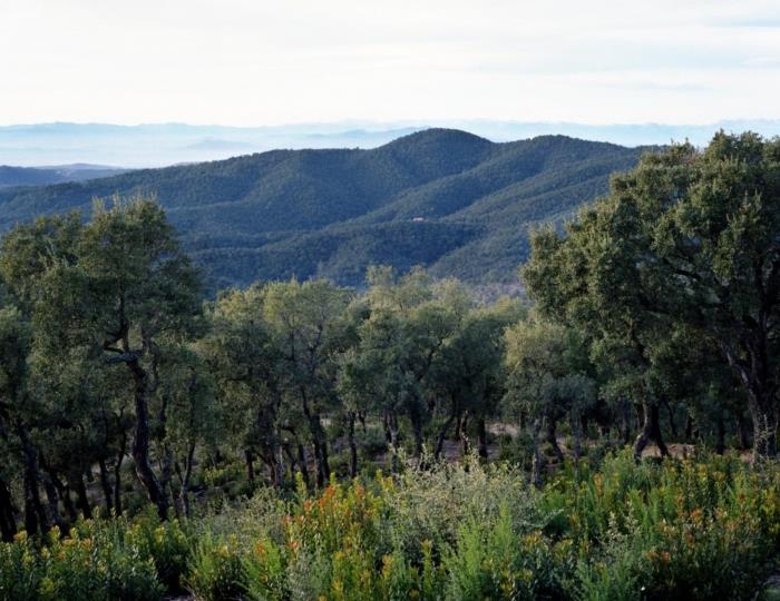 Get to know the Gavarres: Walking and cycling routes through nature.